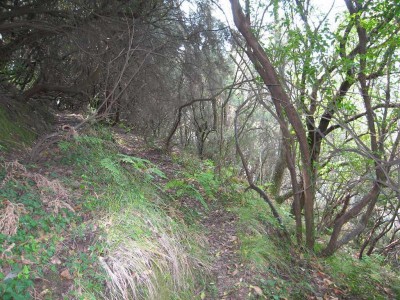 Agricoli - Massarosa - Monte Pitoro