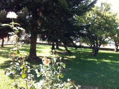 Appartamento - Pietrasanta - Pietrasanta centro