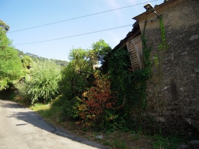 Rustico - Pietrasanta - Solaio