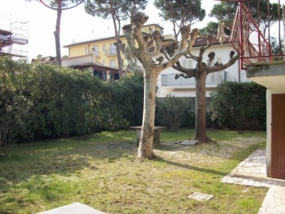 Villa - Pietrasanta - Marina di Pietrasanta