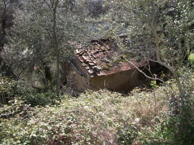 Rustico - Camaiore - Buchignano