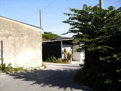 Terratetto - Viareggio - Torre del lago mare