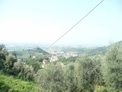 Agricoli - Massarosa - Bargecchia