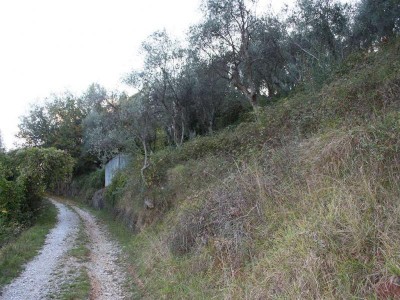 Agricoli - Camaiore - Montebello 