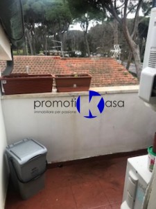24690-viareggio-darsena-viareggio-affitto-viareggina