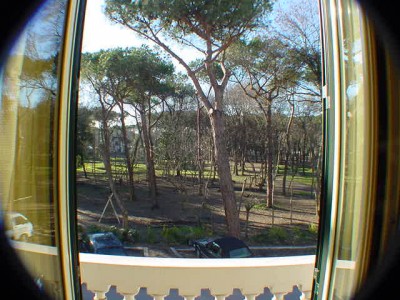 Viareggina - Viareggio - Viareggio Pineta