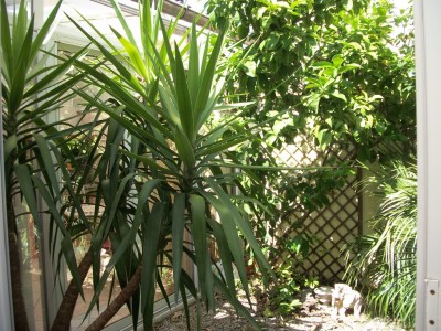 24994-viareggio-migliarina-viareggio-vendita-villa-a-schiera