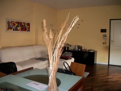25001-viareggio-bicchio-viareggio-vendita-appartamento