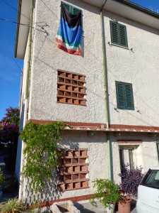 Terratetto - Camaiore - Capezzano