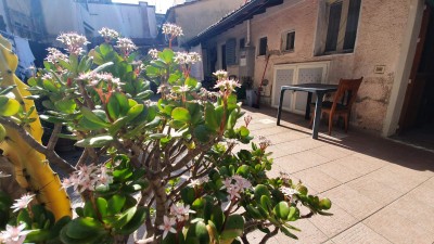 Bifamiliare - Camaiore - Lido di Camaiore