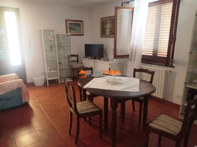 Tettoia - Pietrasanta - Macelli