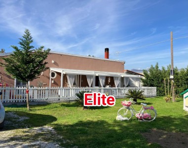 Villa - Viareggio - Viareggio Bicchio