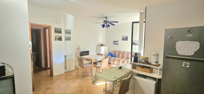 Appartamento - Viareggio - Viareggio Marco Polo